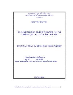 So sánh một số tổ hợp Ngô nếp lai có triển vọng tại Gia Lâm - Hà Nội