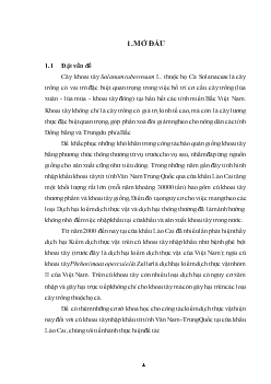 Thành phần sâu hại củ khoai tây nhập khẩu từ tỉnh Vân Nam, Trung Quốc tại cửa khẩu Lào Cai, đặc điểm hình thái, sinh học của ngài củ khoai tây Phthorimaea