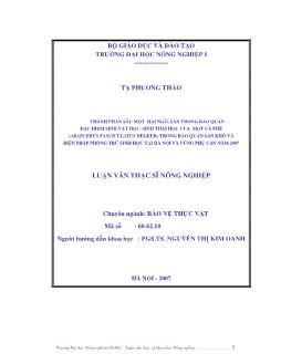 Thành phần sâu mọt hại ngô, sắn trong bảo quản đặc điểm sinh vật học, sinh thái học của mọt cà phê (Araecerus fasciculatus degeer) trong bảo quản sắn khô và biện pháp phòng trừ sinh học tại Hà Nội và vùng phụ cận năm 2007