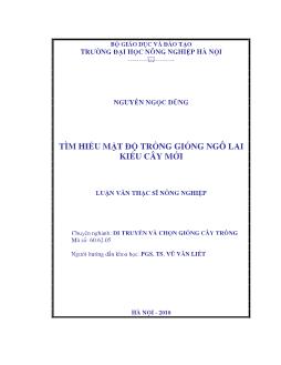Tìm hiểu mật độ trồng giống ngô lai kiểu cây mới