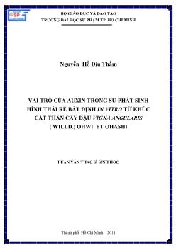 Vai trò của Auxin trong sự phát sinh hình thái rễ bắt định In Vitro từ khúc cắt thân cây đậu Vigna Angularis (Willd.) Ohwi Et Ohashi