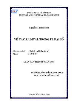 Về các radical trong PI. Đại số